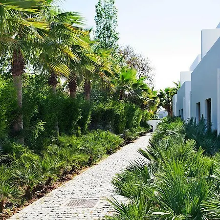Sao Rafael & Homestay